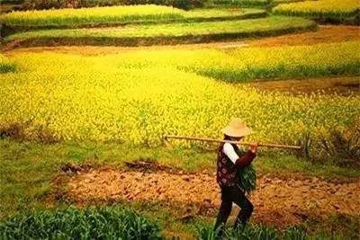 耕地上唯一住宅可以直接强拆吗？
